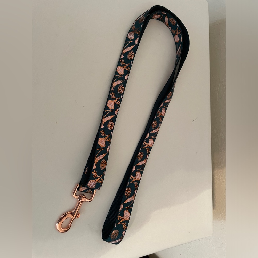 60” DOG LEASH Beautiful colors. Never used.